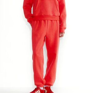 Aritzia TNA Cozy Fleece Sweatfleece Sweatpants Megafit